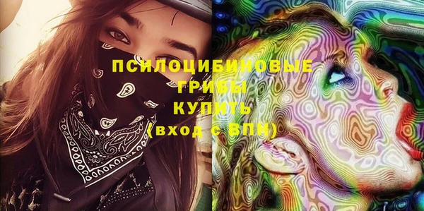 индика Балахна