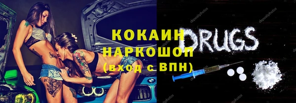прущие грибы Арсеньев